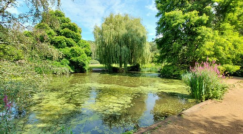 Thompson's Pond, Isabella plantation, Richmond Park, London. swcwalks, swcwalk261 