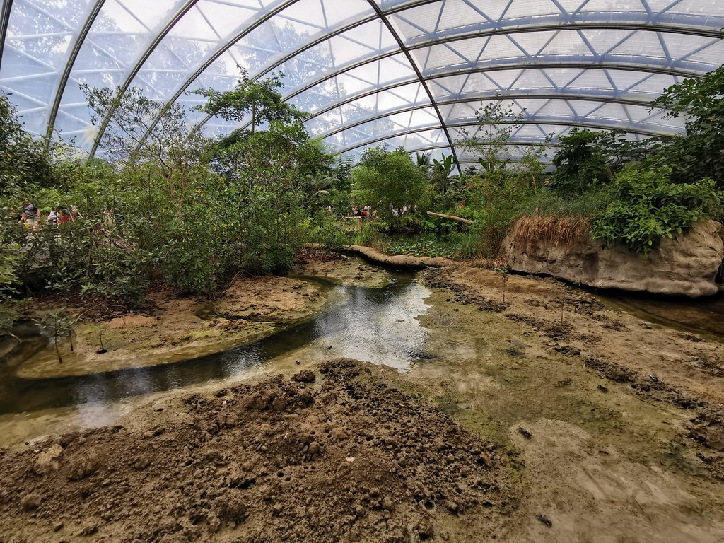 Überdacht: 3000 Quadratmeter groß ist Burgers‘ Mangrove, erschaffen in Anlehnung an ein vom Zoo unterstütztes Naturgebiet im mittelamerikanischen Staat Belize.