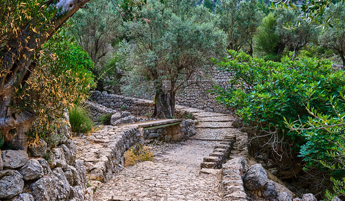 barrancdebiniaraix walk marche gr221 stone pierre step mountain montagne torrent fording gué pathway sentier longdistancetrail nature landscape paysage pmarteville