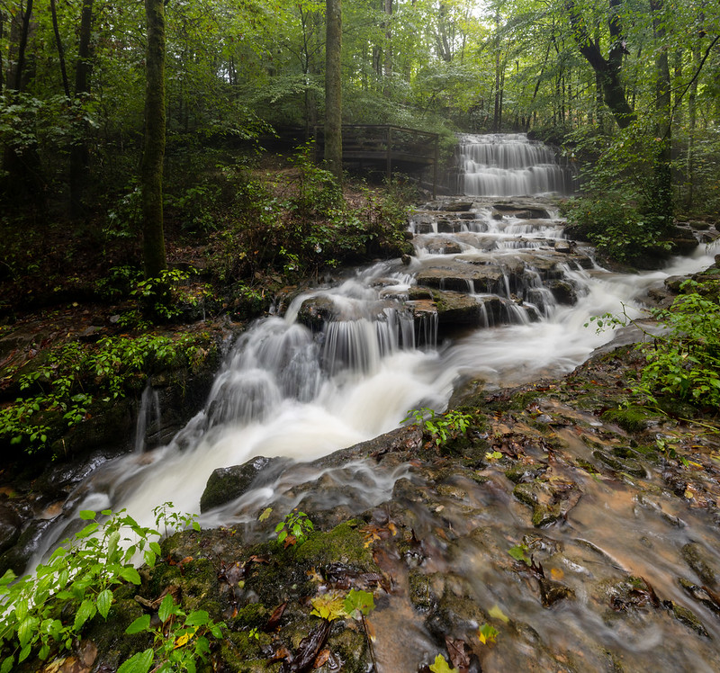 City Lake Falls, City Lake State Natural Area, Putnam County, Tennessee 5 - Credit Annabelle Dempsey