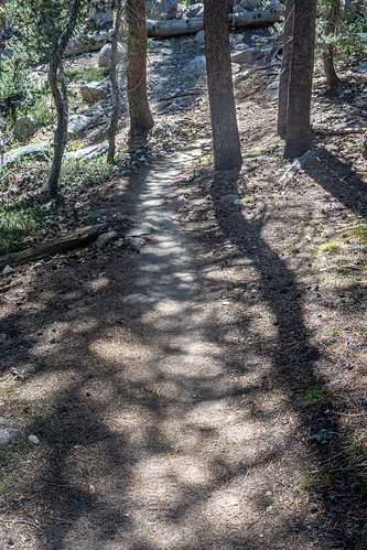 Enchanted path | by John W Little