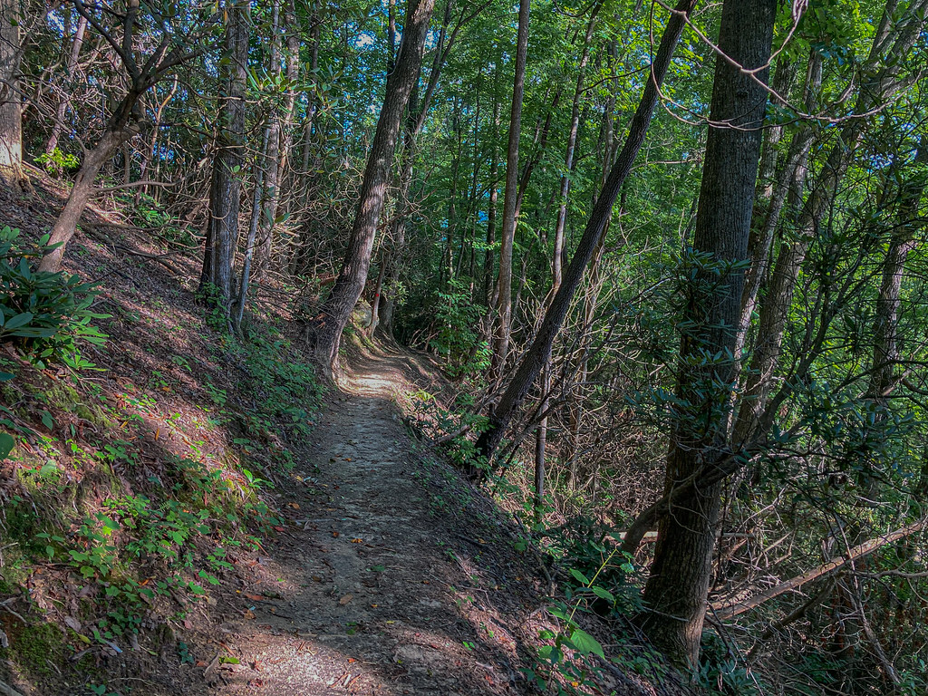 Stone Mountain Loop Trail