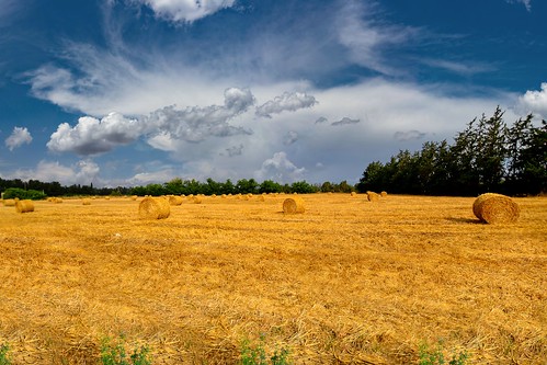 cyprus paphos landscapes cloudysky field grass travel summer ayapinoros yeroskipou sigma1020mmf35exdchsm ybsnature21