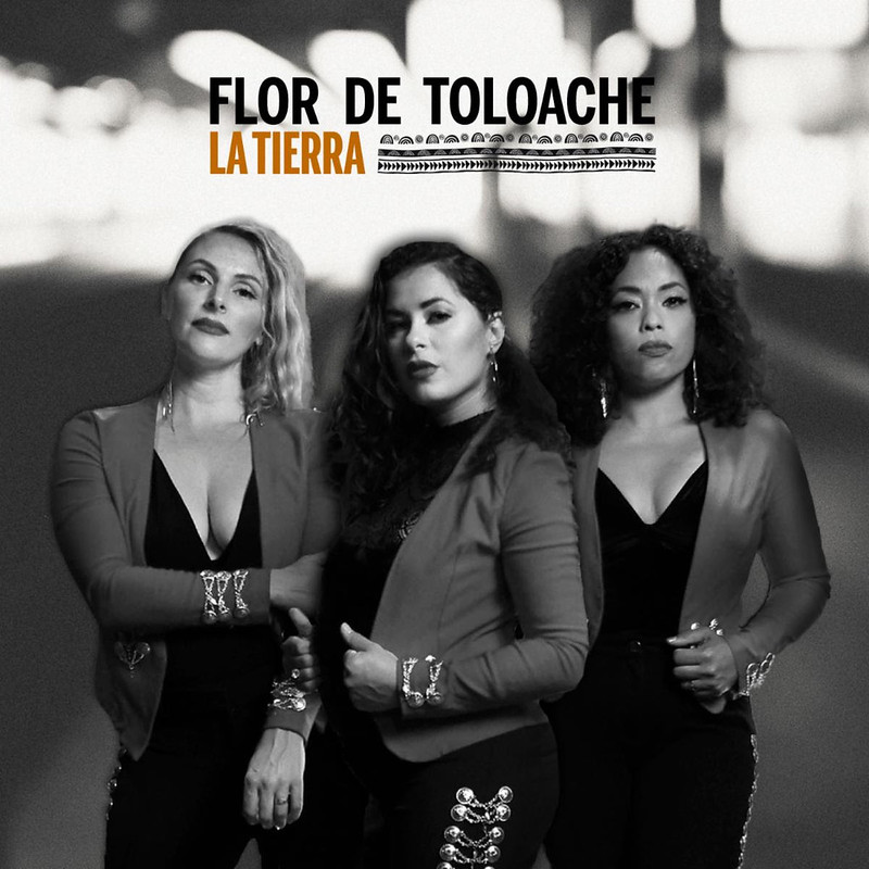 flor dt.album cover