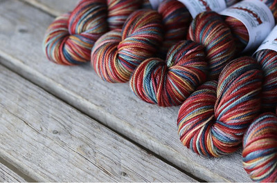Koigu’s Collector Club August colour Rooster arrived in Jasmine, their newest yarn!  It was inspired by a rooster with the perfect reds to roll us into fall.