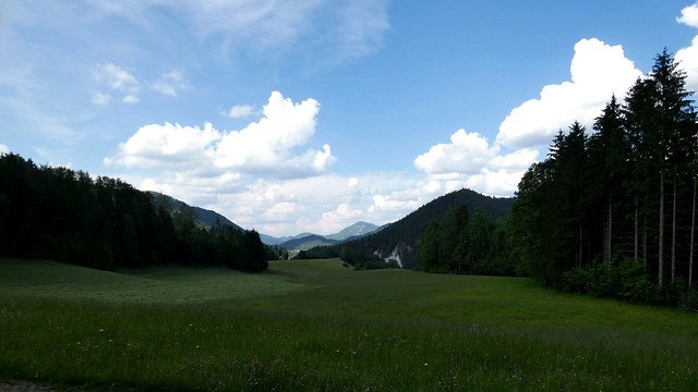 Ederleitenwiese / Ederleiten meadow