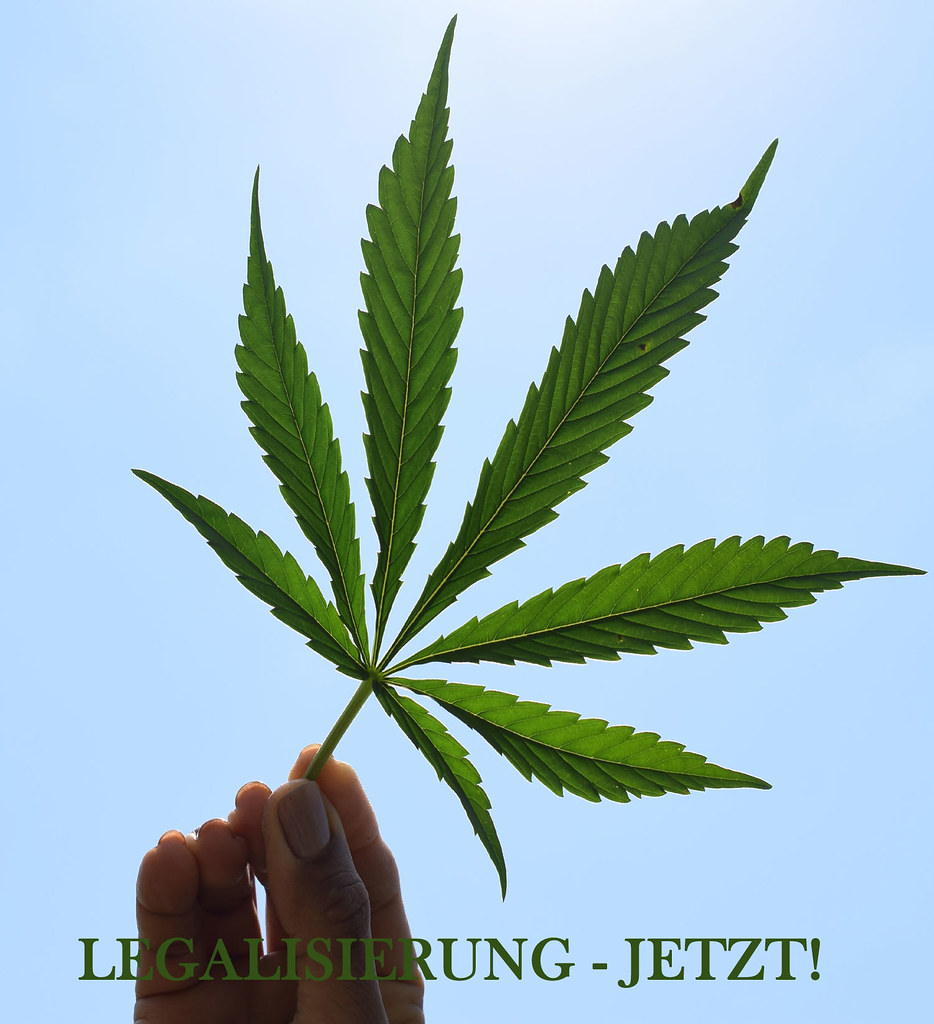 Sage JA zur Cannabis Legalisierung!