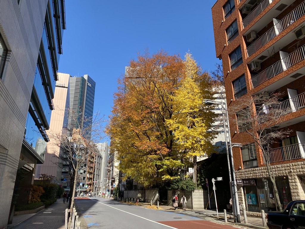 Tokyo 2020 winter