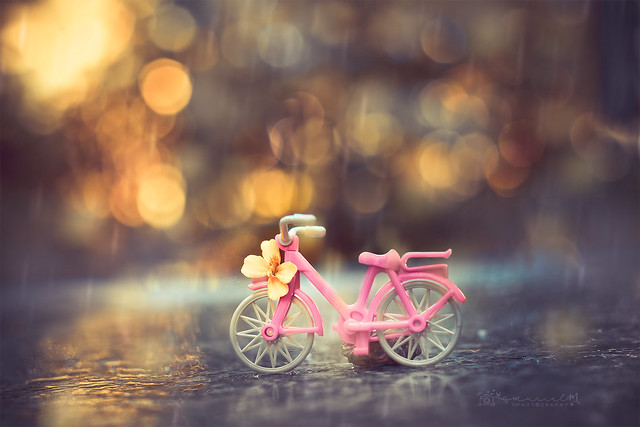 .Pink bicycle.