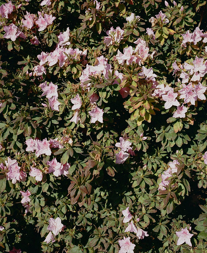 Untitled | by bou-vie
