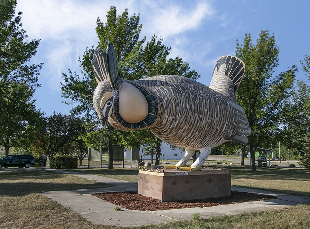 World's Largest Prairie Chicken