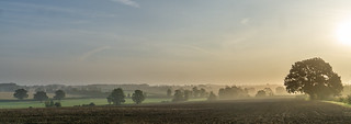 248-365v4 - Mist over the Dunmow Countryside