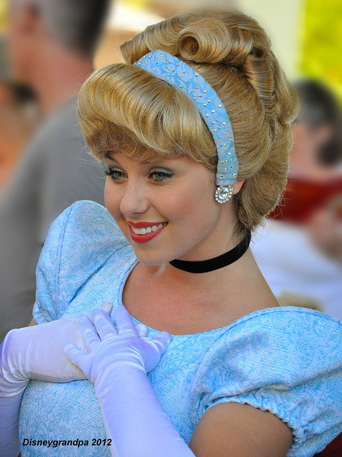 Princess Cinderella _8586
