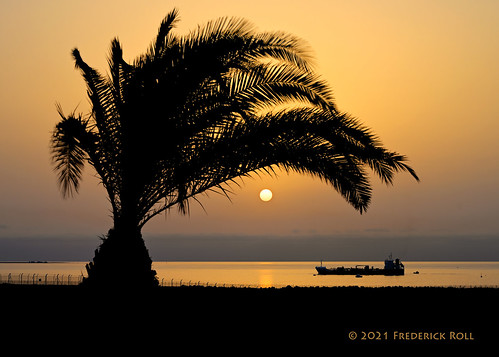 lanzarote arrecife canaryislands fjroll ©freddie palm palmtree sunrise explore