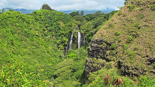 alhikesaz kauai hawaii hi private driver luxury tour tours kauailuxurytours east shore opaekaa falls opaekaafalls waterfall waterfalls water river kapaa explore