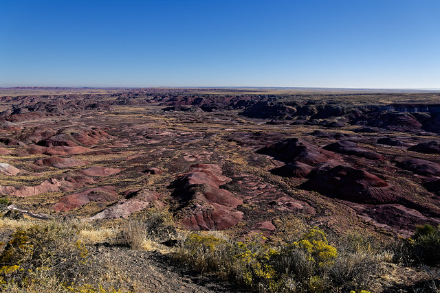 Red Hills and Badlands of the Painted Desert Seen from Tawa Point (Petrified Forest National Park)