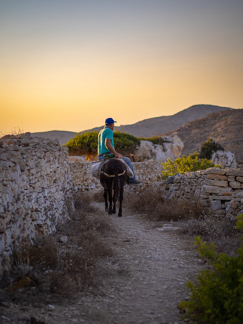 Farmer on his donkey in Folegandros, Greece
