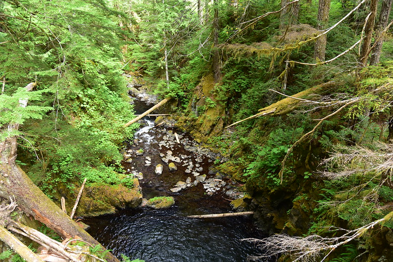 Deer Lake Hike