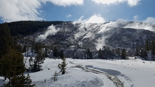 Yellowstone National Park - Steam Vents | by detectivechris415