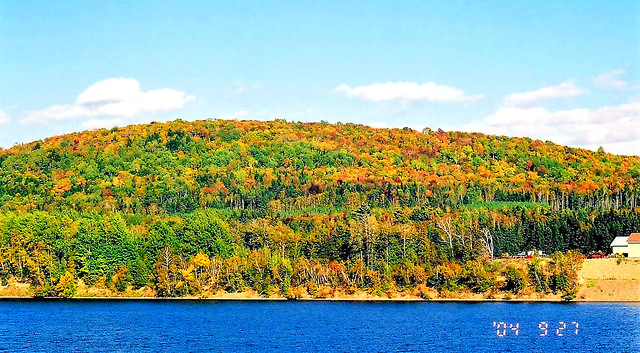 Autumn colour along the Saint John River