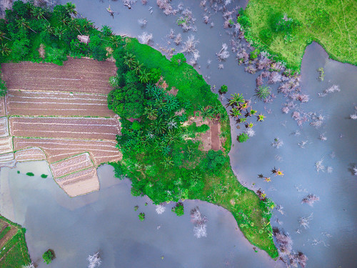 aerial drone outdoors green trees lake dam bohol ubay benliw lemuelmontejoartworks mvisuals