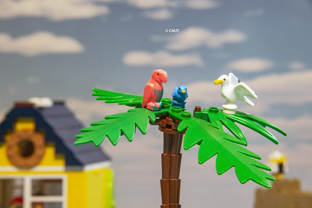 Lego Birds - Parrot & Seagull ©