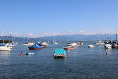 Bodensee-002