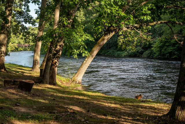 Quinebaug River Simonzi Park