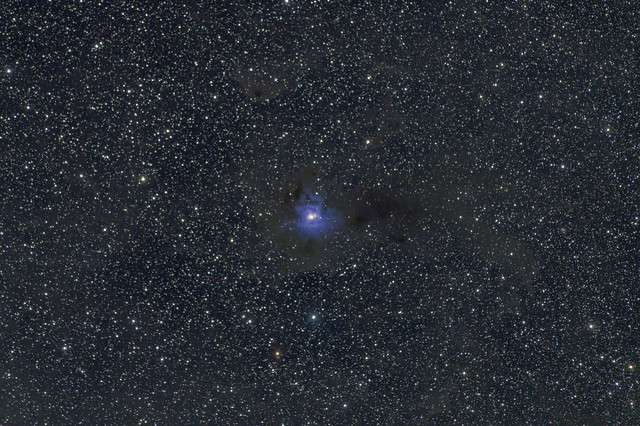 The Iris Nebula | NGC 7023