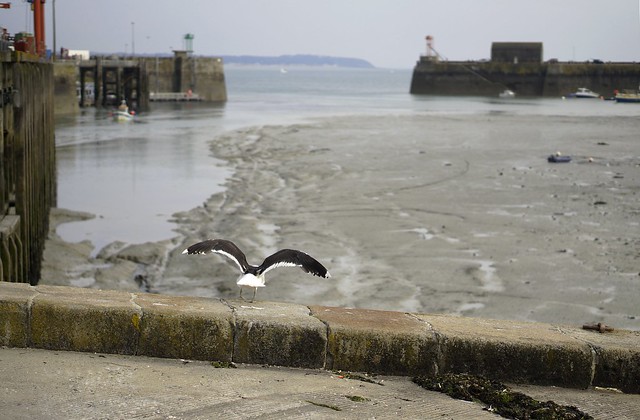 Take-off at low tide