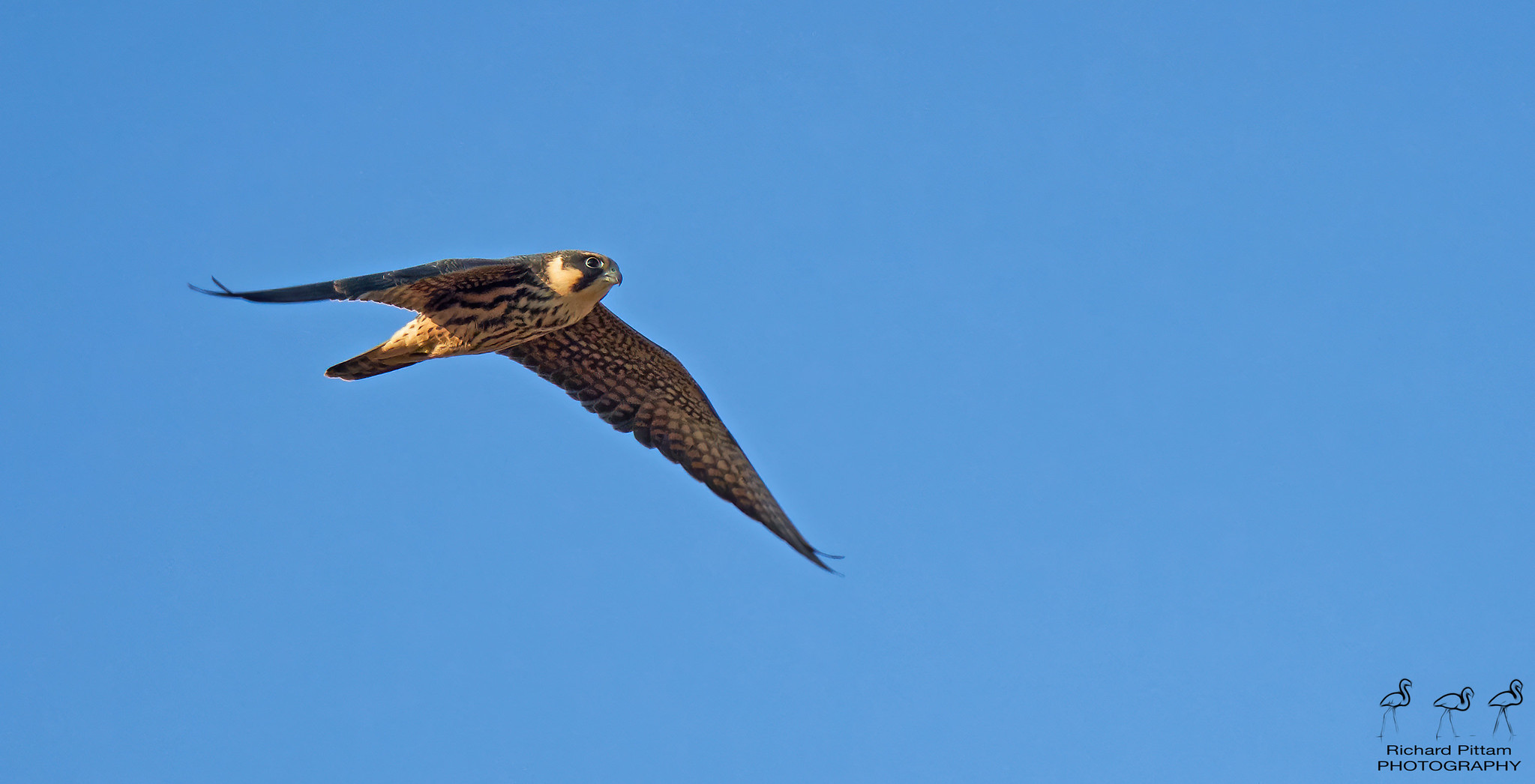 Hobby - distant and difficult