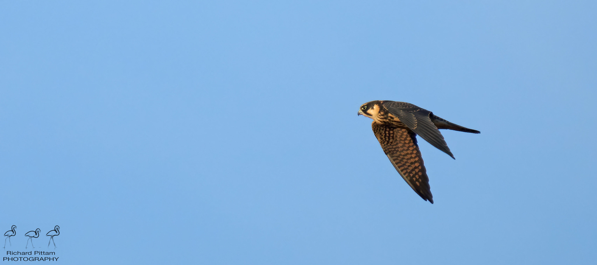 Hobby - distant and difficult