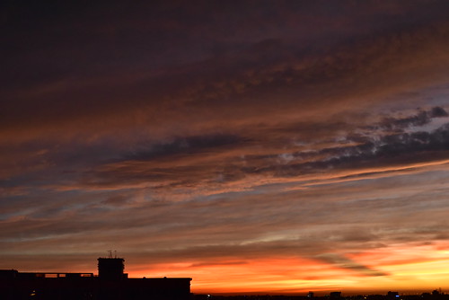 DSC_0589