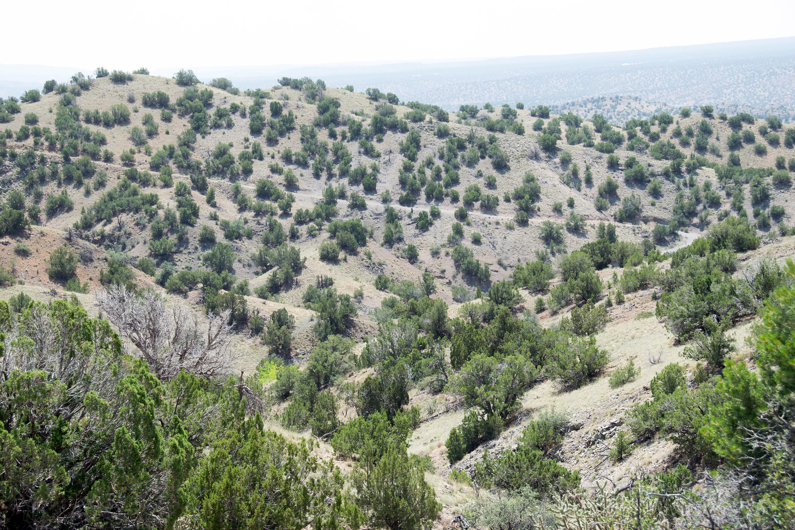 Cerrillos Hills State Park