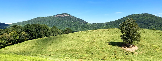 Mt. Yonah