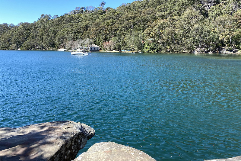 Harold Reid Reserve bushwalk