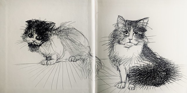 Cat Doodles. A new sketch book for September. Ballpoint pen drawings by jmsw on card. Just for Fun.