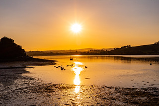 River Teign view from the Coombe Cellars pib
