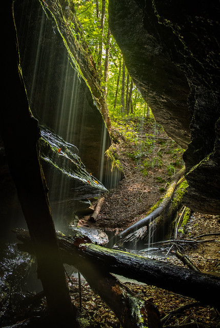 Unnamed Cave, Looking Out, Overton County, Tennessee