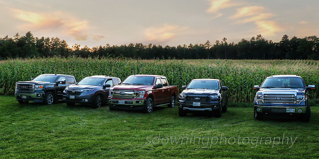 Five in the Corn Field
