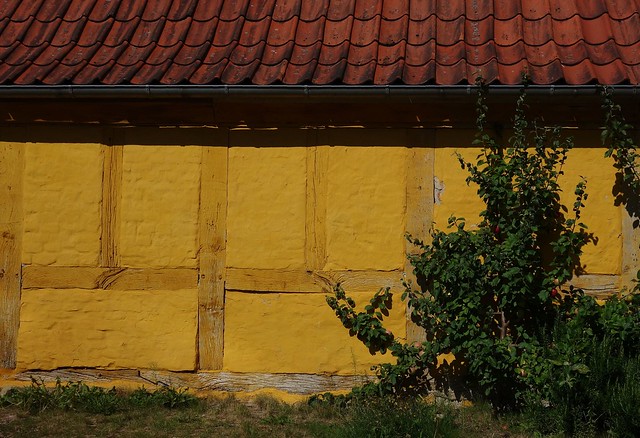 Half-timbered wall. The liming - yellow on this wall - covers both timber and infill, characteristic of original Zealand half-timbered buildings.