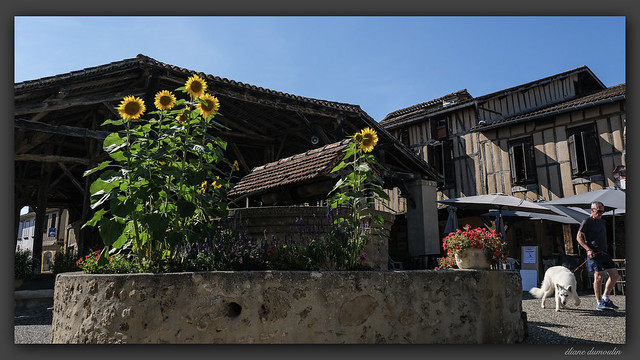 Village médiéval de Bassoues - Gers