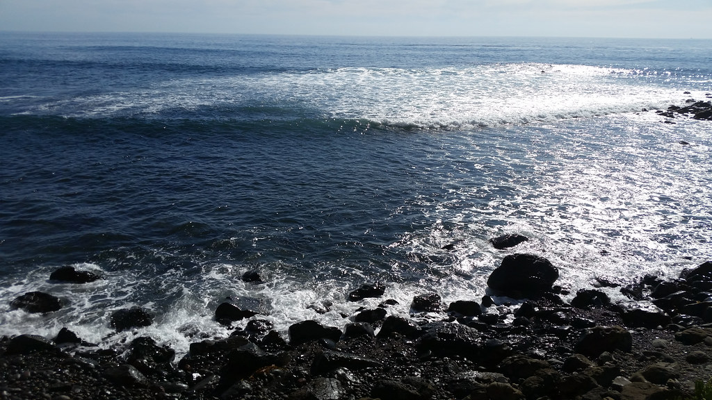 Las Olas Grand