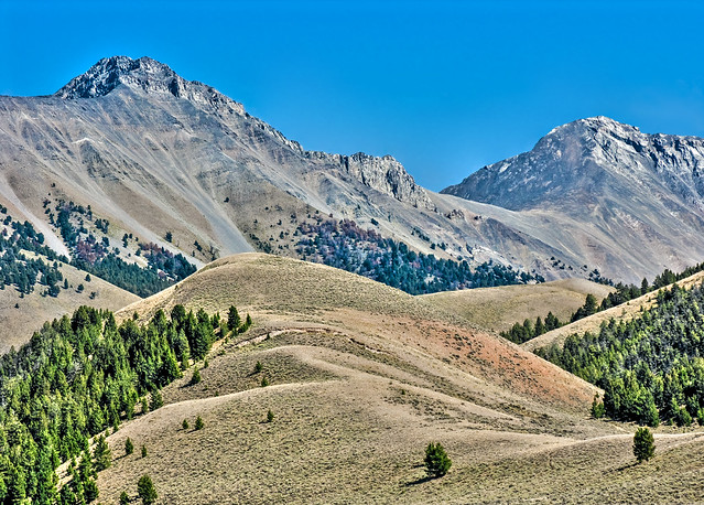 Peaks of the Pahsimeroi Range from Sheep Creek