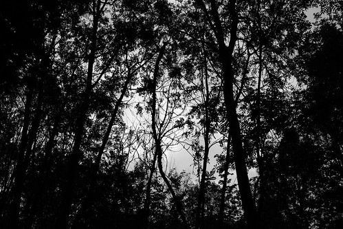 13.09.2021 | by Daymon55