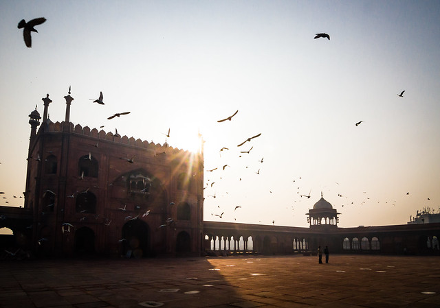 Birds in flight at Jama Masjid जामा मस्जिद