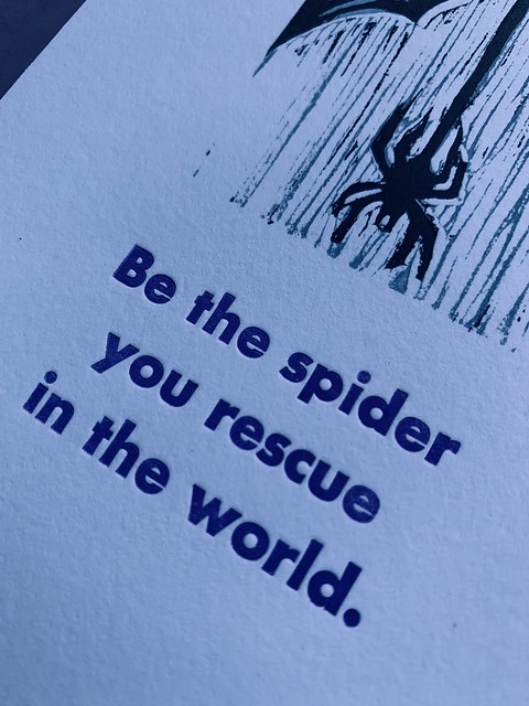 Be the spider, oblique