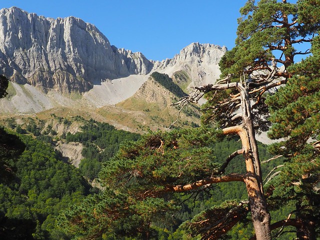 Zuriza Valley (Huesca)
