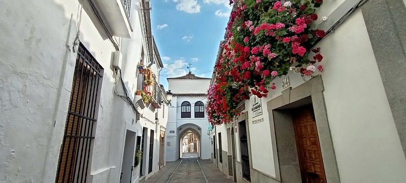 Recorriendo Extremadura. Mis rutas por Cáceres y Badajoz - Blogs de España - Recorriendo Zafra (Badajoz). (60)