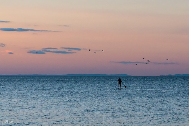 Paddleboard.jpg